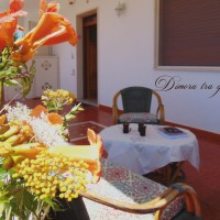 La Dimora tra gli Ulivi 02