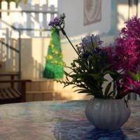 La Riserva dei Felici "Sole"