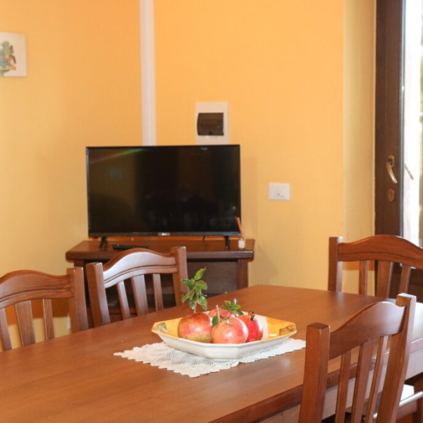 Tenuta Bene - bilo 1246 — foto 15