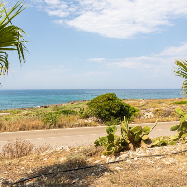 Red Home Fronte Mare — foto 16