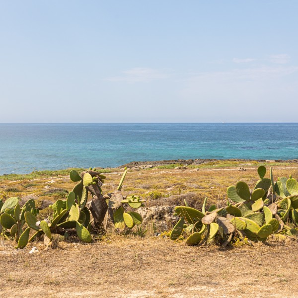 Red Home Fronte Mare — foto 15