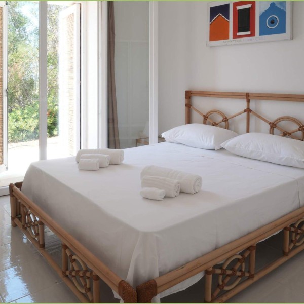 La tenuta degli asinelli - foto 11