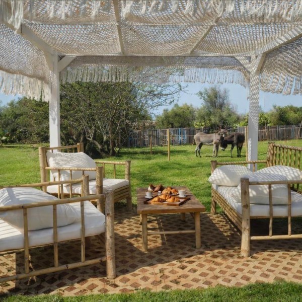 La tenuta degli asinelli - foto 8