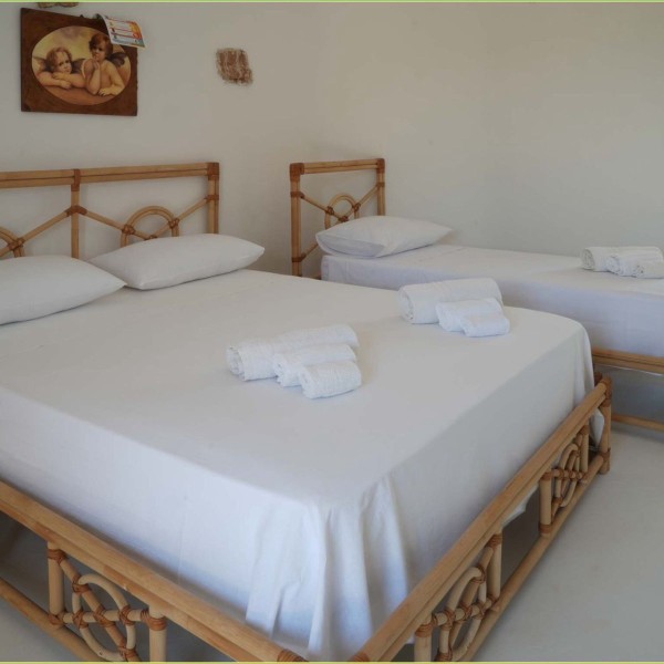 La tenuta degli asinelli - foto 21