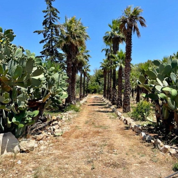 Casale Capurre - La Pajara - foto 19