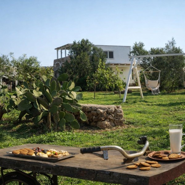 La tenuta degli asinelli - foto 14